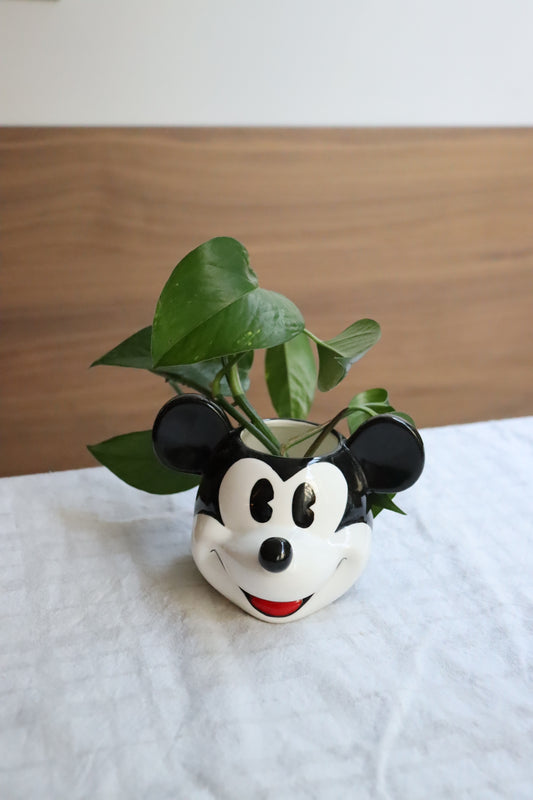Mickey Mouse Disney Tumbler
