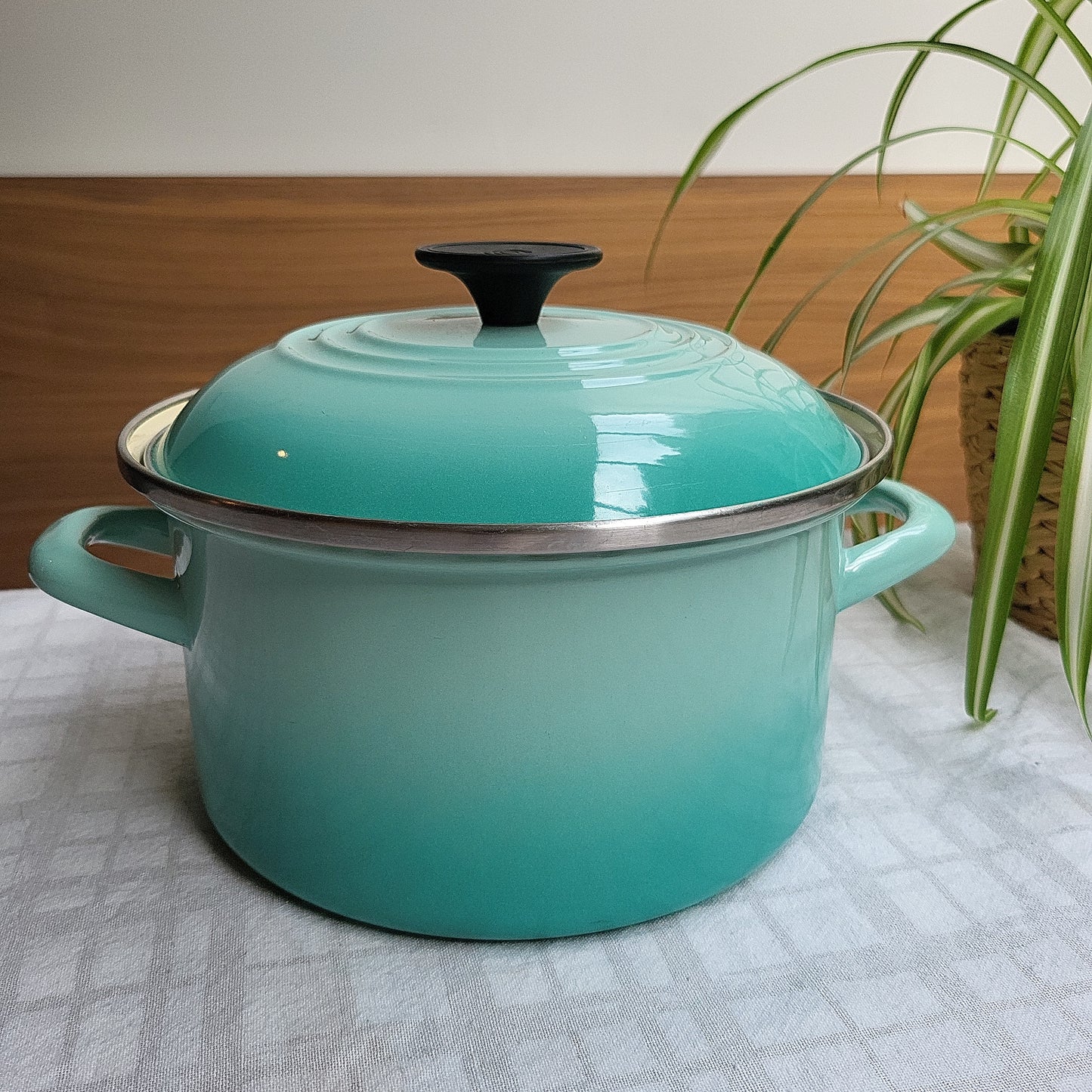 Turquoise Enamel Carbon Steel Pot, Le Creuset