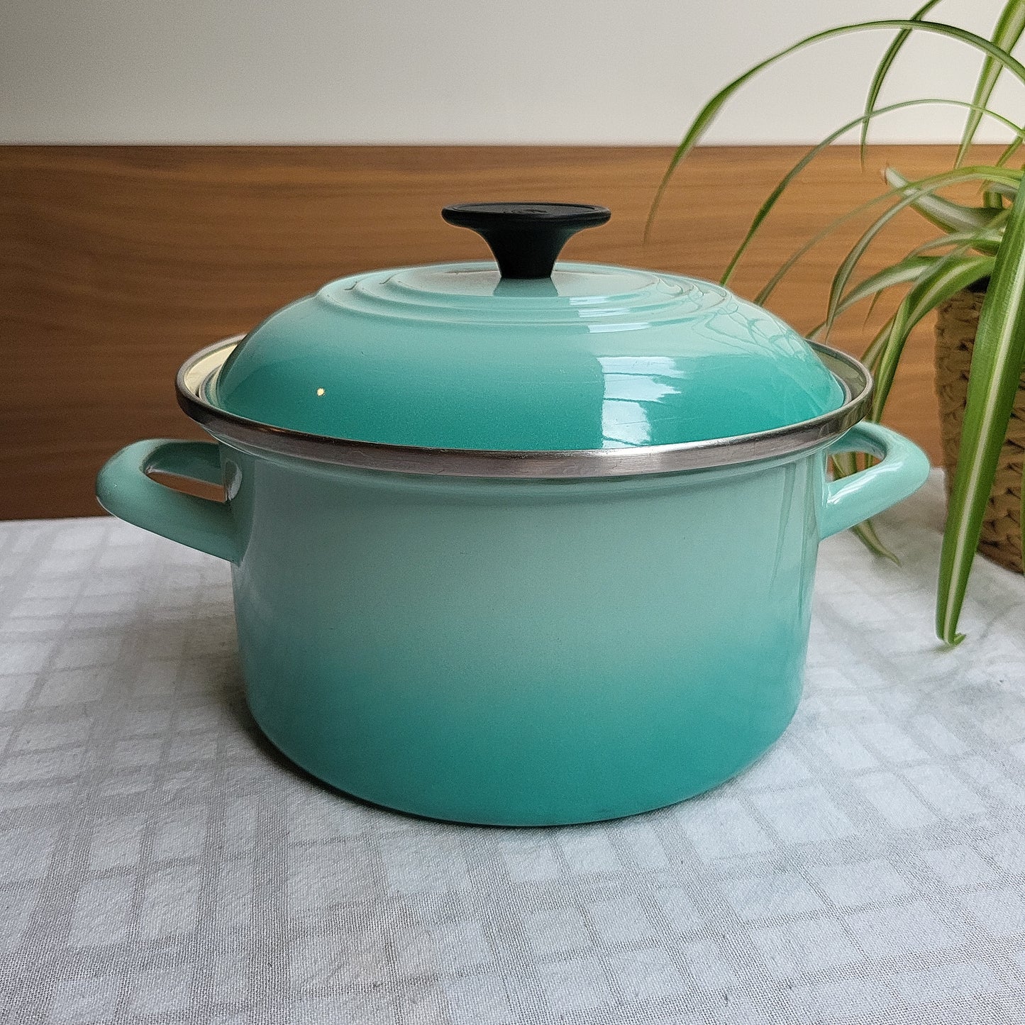 Turquoise Enamel Carbon Steel Pot, Le Creuset