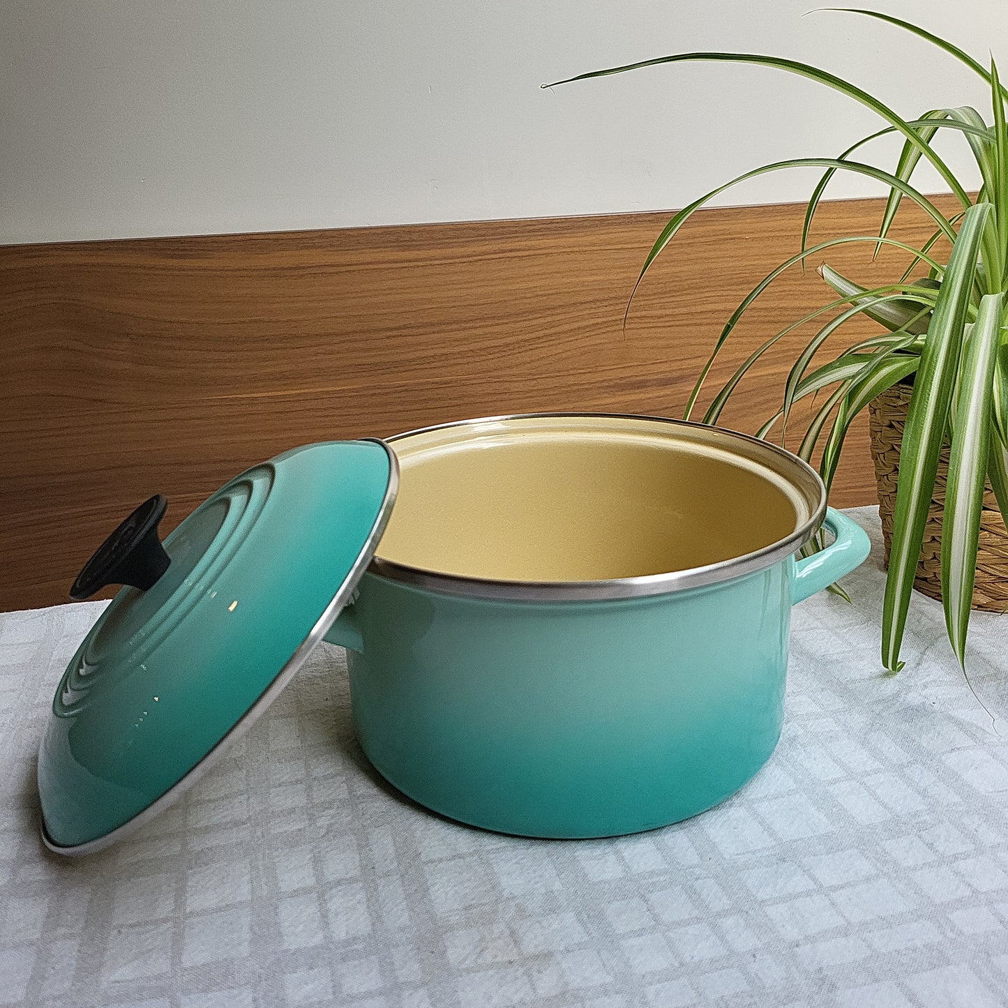 Turquoise Enamel Carbon Steel Pot, Le Creuset