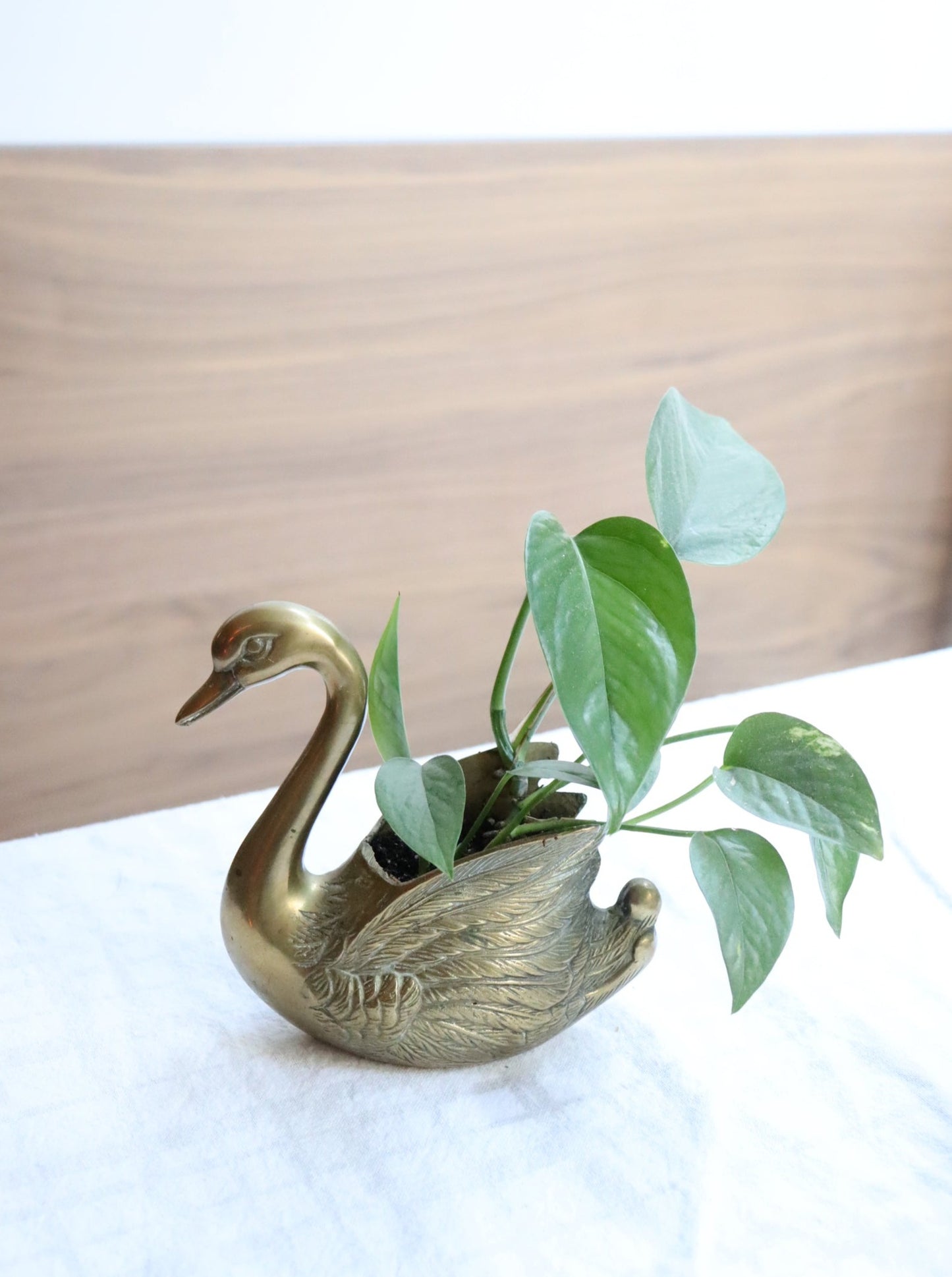 SOLD: Brass Swan Planter  | 1980's