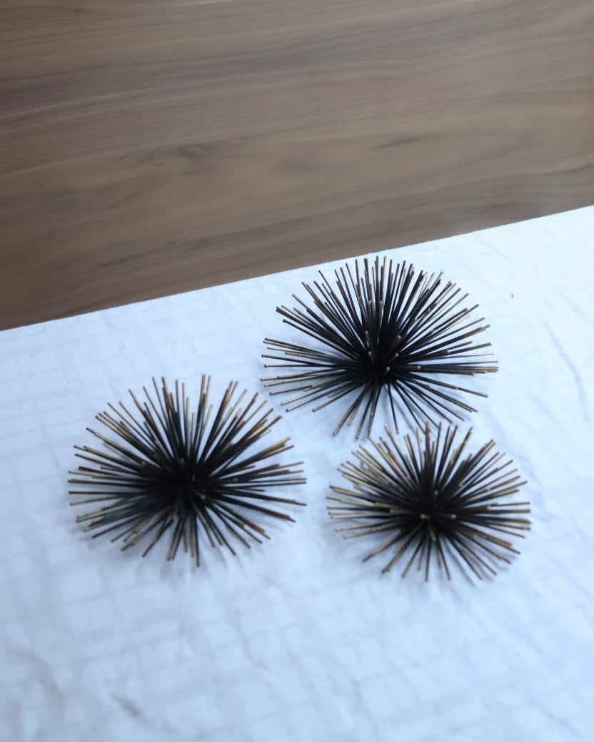 Three black sea urchin shells on a white cloth with a wooden surface in the background