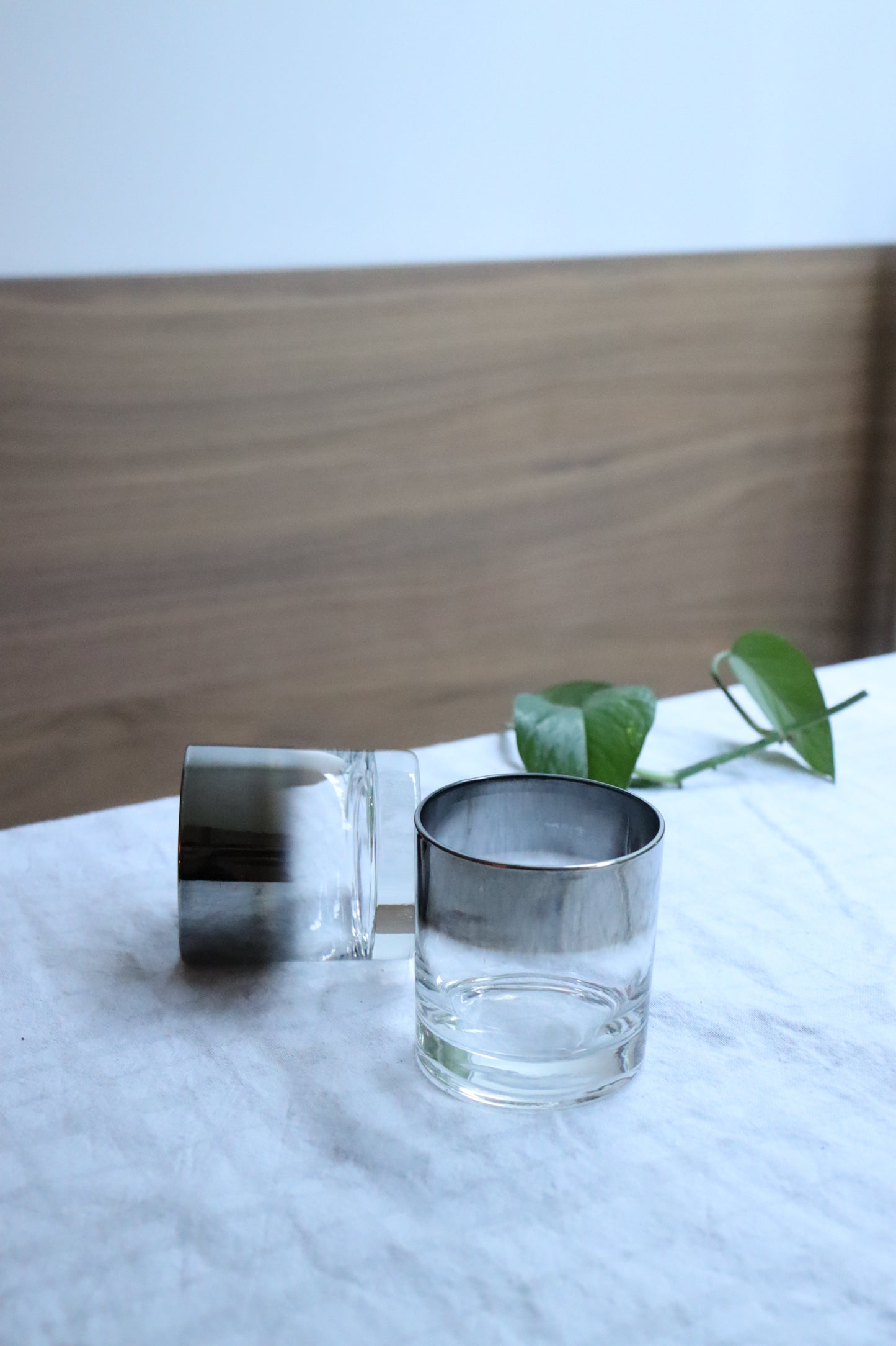 Silver Rimmed Scotch Tumbler, Vitreon Queen  Lustreware (set of 2) | 1950's