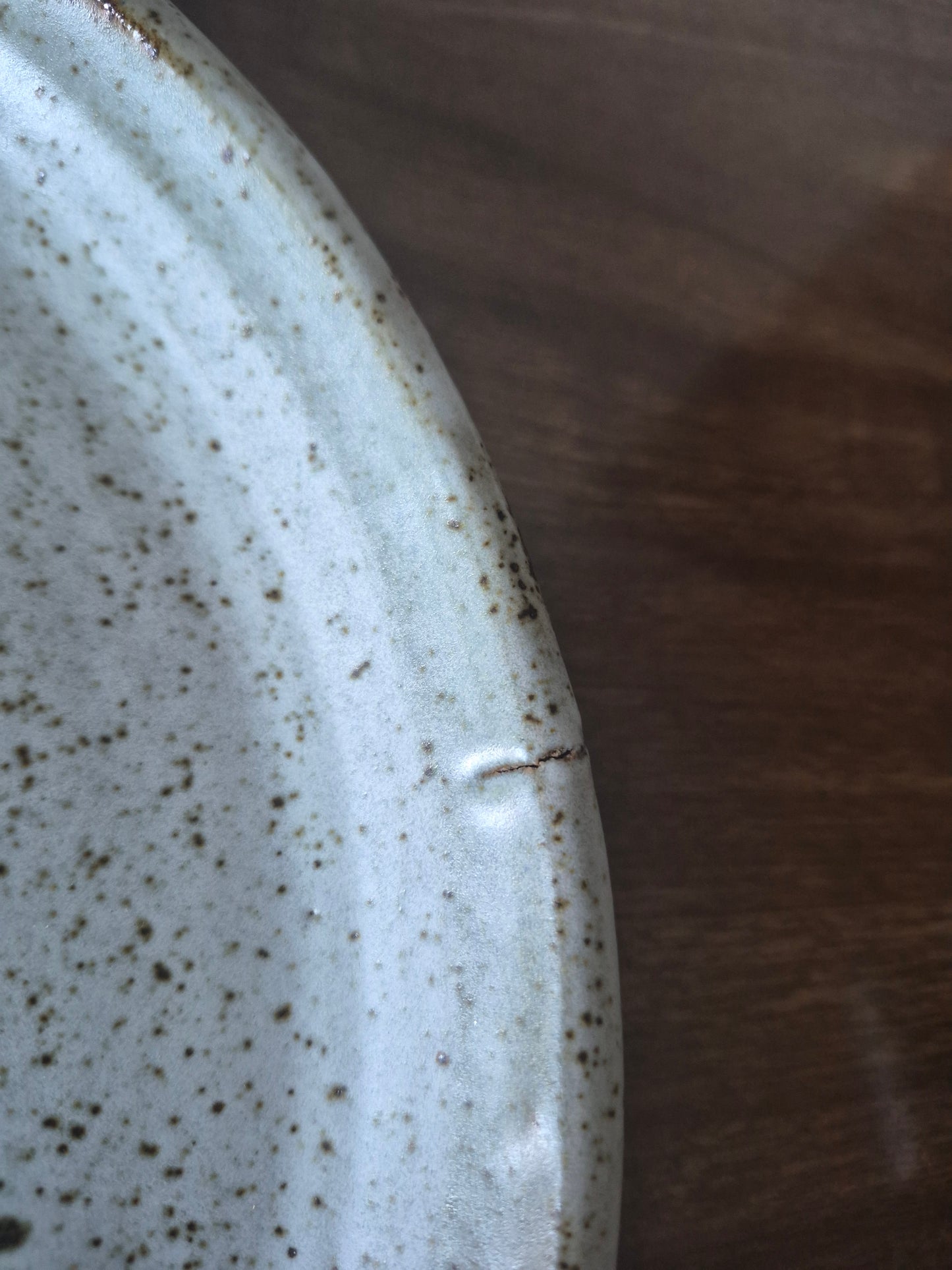 Decorative Olive Branch Plate, Studio Pottery
