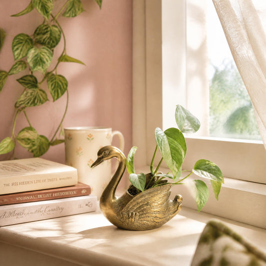 Brass Swan bowl  | 1980's